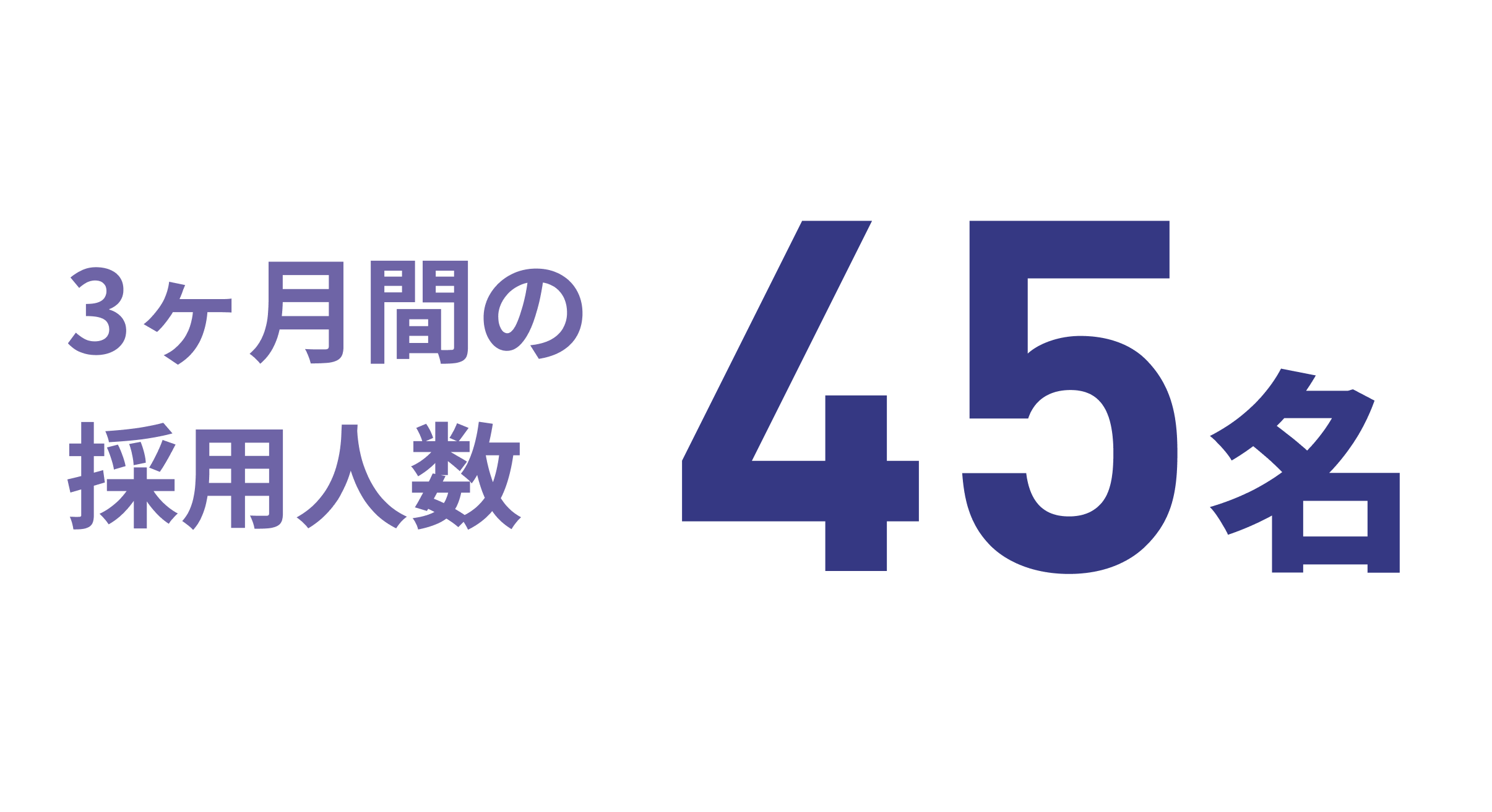 3ヵ月間の採用人数45名
